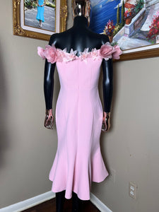 Ana dress in pink